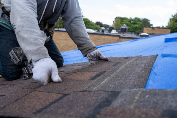 Best Roof Gutter Cleaning  in Esko, MN